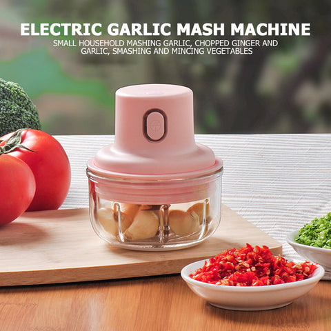 Electric Mini Garlic Vegetable Chopper 250ML