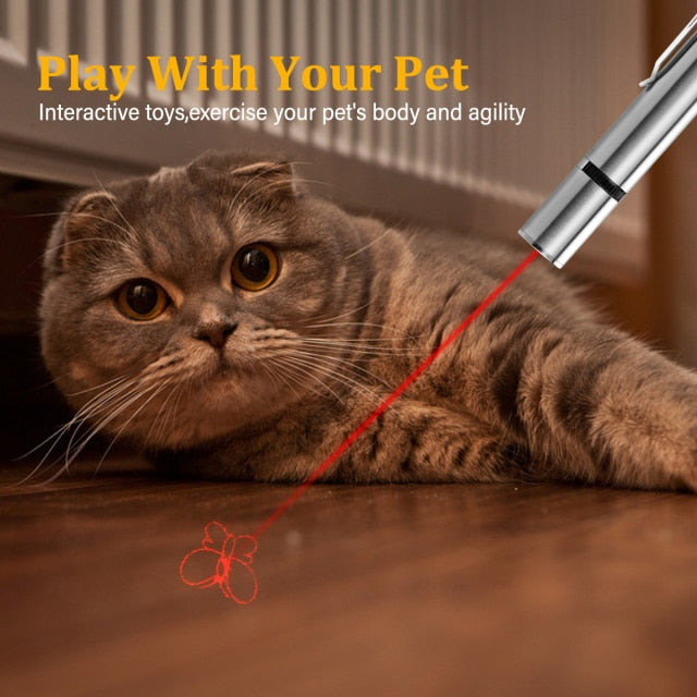 Multifunctional Stainless Steel USB Charging Pet Laser Pointer