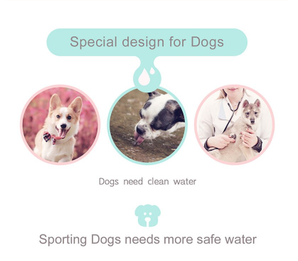 Portable Leakproof Pet Water Bottle