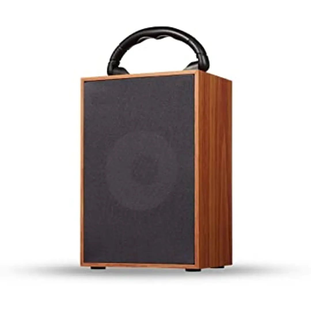 VIZIO WOODEN PORTABLE WIRELSS BLUETOOTH SPEAKER