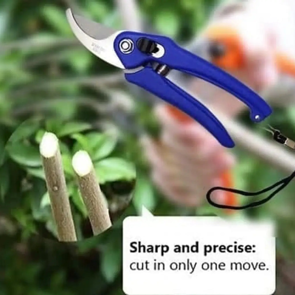Coating Garden Flower Cutter Flower Pruner Stainless Steel And PVC Flower Cutter Pruning Shears HEAVY DUTY GARDEN PRUNING SHEARS PRUNERS HAND TOOL PLANT CUTTER Hand Pruner Secateurs Cutter Plants Tool