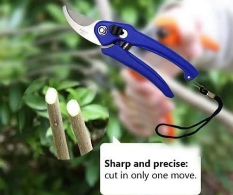 Coating Garden Flower Cutter Flower Pruner Stainless Steel And PVC Flower Cutter Pruning Shears HEAVY DUTY GARDEN PRUNING SHEARS PRUNERS HAND TOOL PLANT CUTTER Hand Pruner Secateurs Cutter Plants Tool