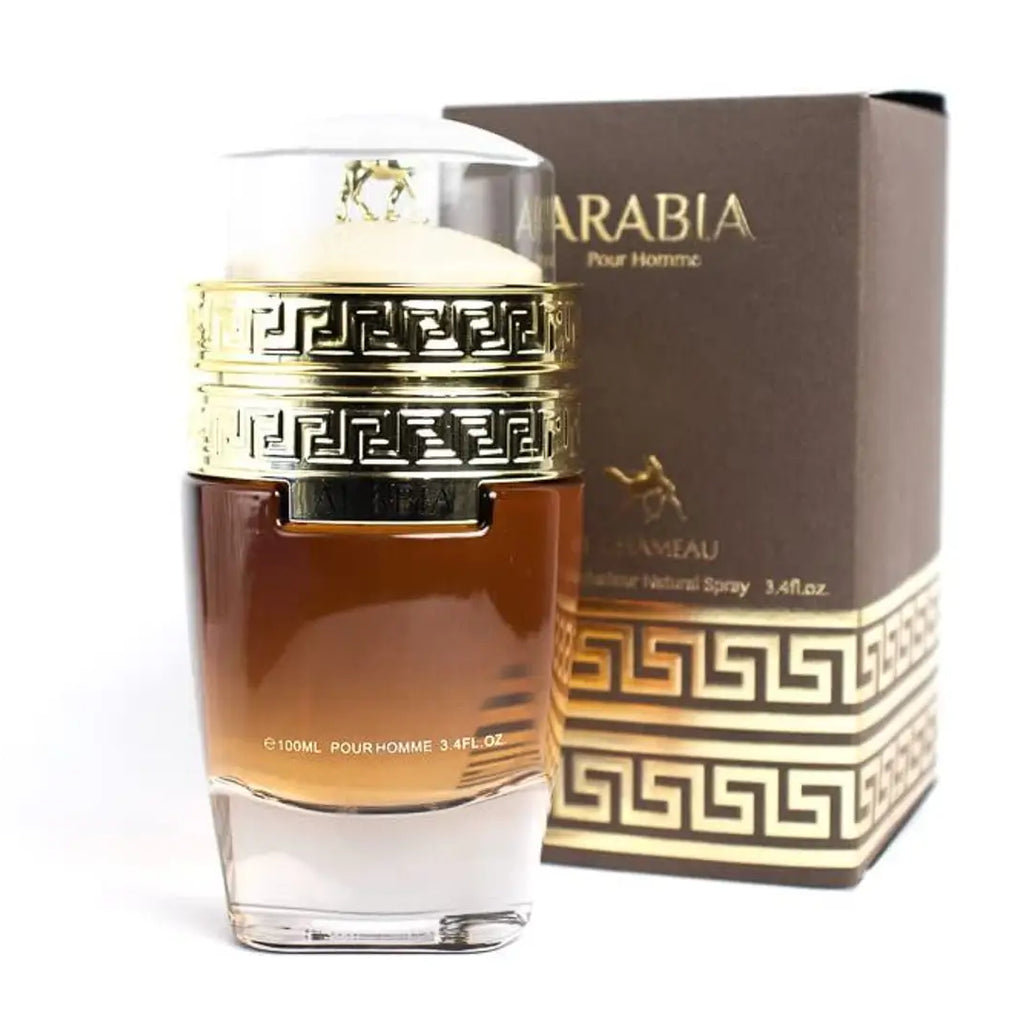 Le chameau giza of arabia deals